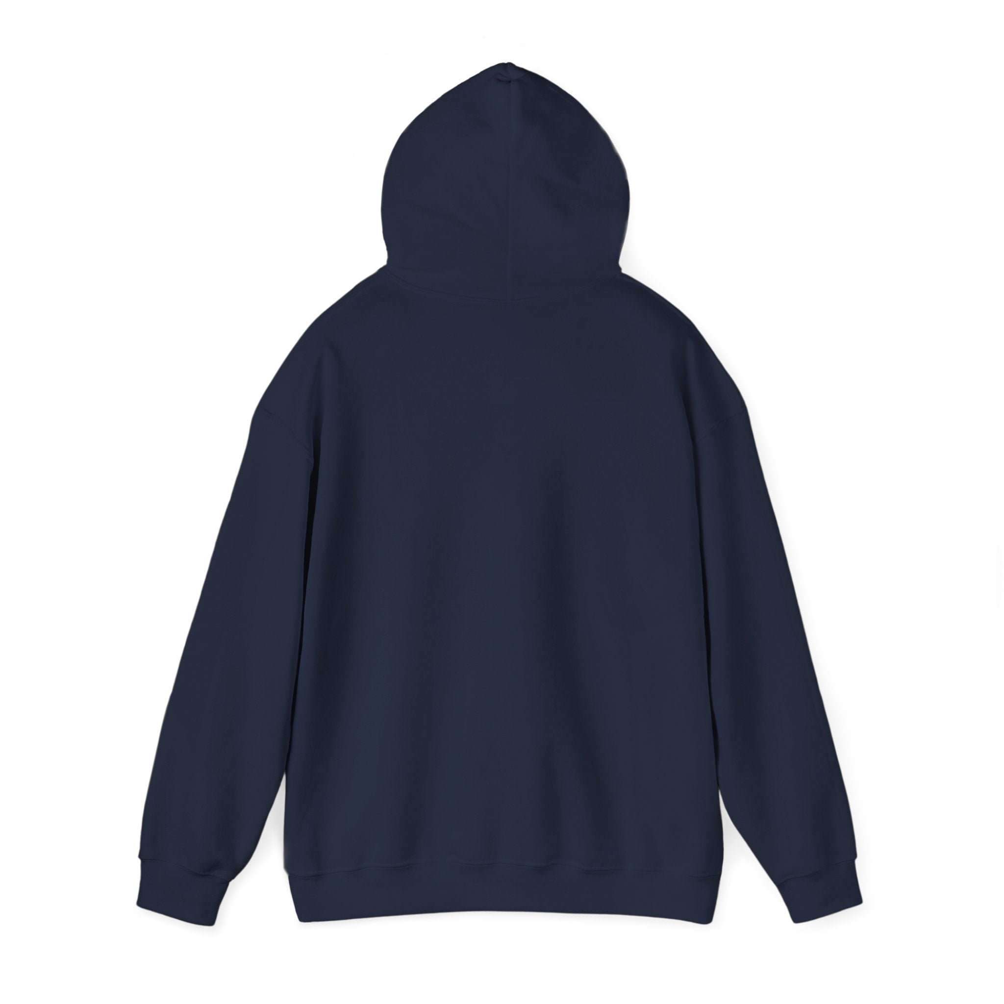 Texas World Cup Retro Soccer Hoodie | country pride, championship season