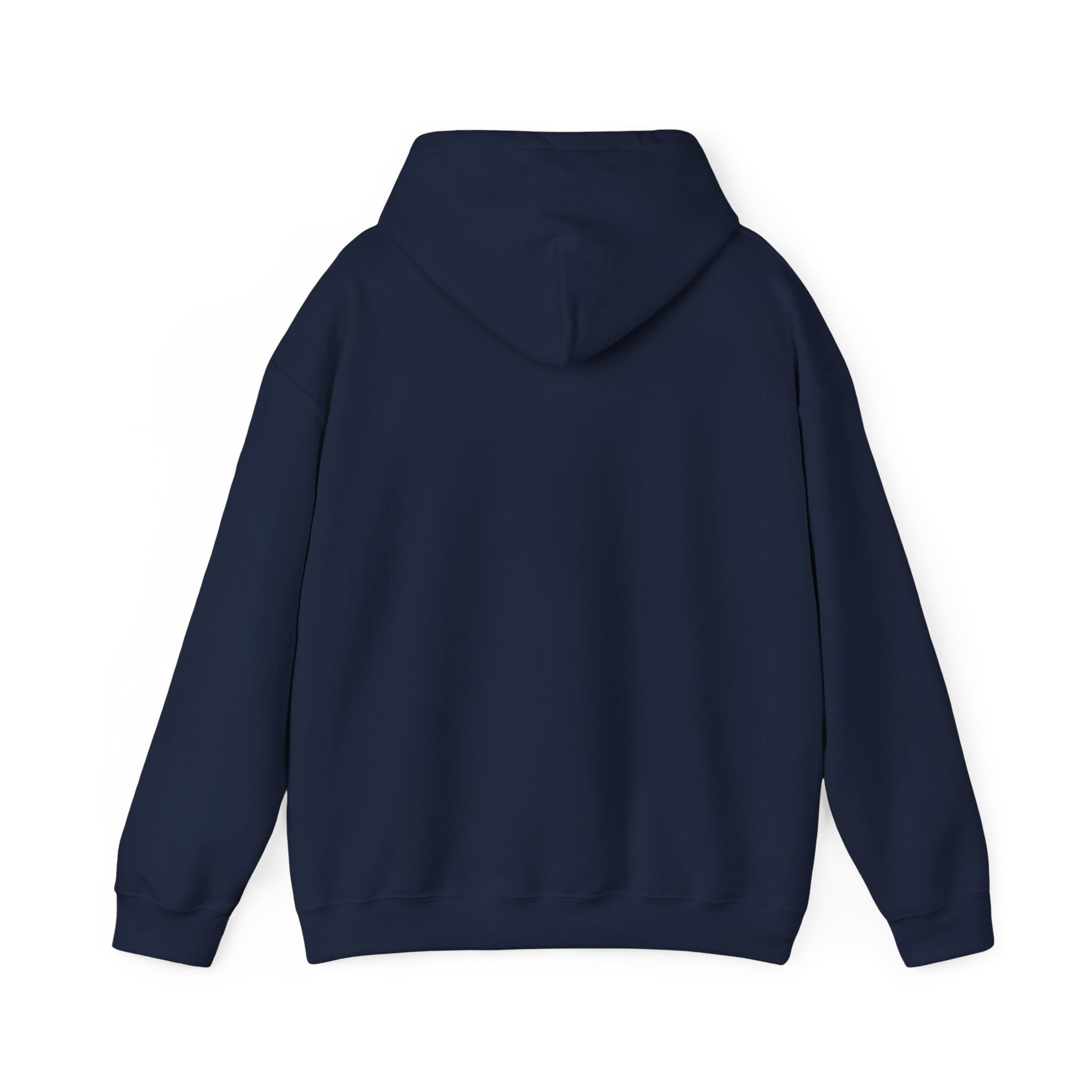 Texas World Cup Retro Soccer Hoodie | country pride, championship season